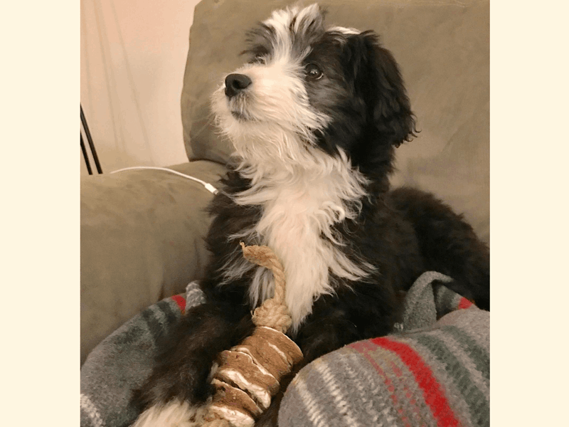 Penny loves her Snook's!