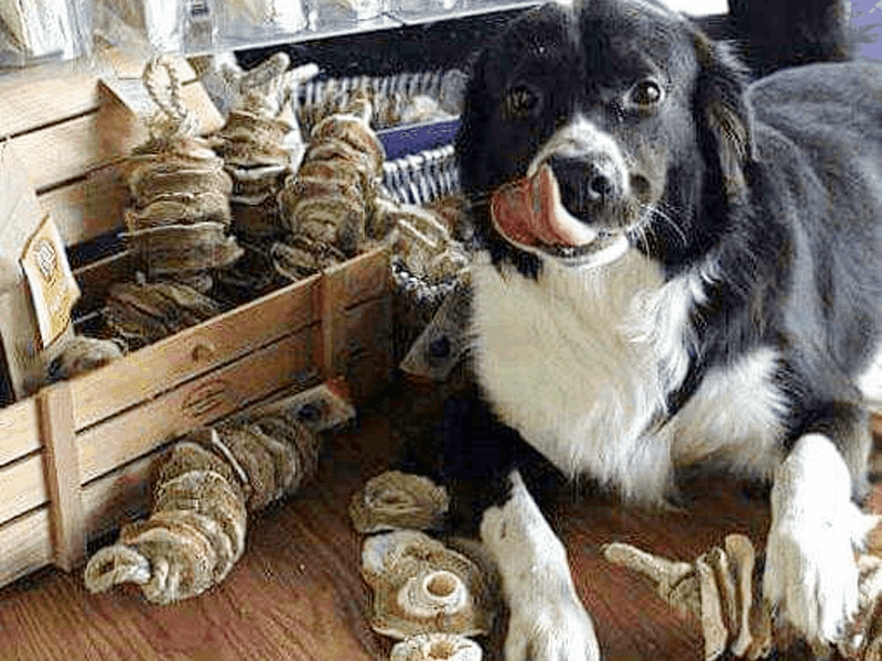 Sweet Potato Chews are my fav!