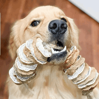 100% Sweet Potato Chews are enjoyed by dogs with allergies.