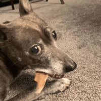 Snook's provides a complete line of natural care and herbal supplement products, in addition to Sweet Potato treats.